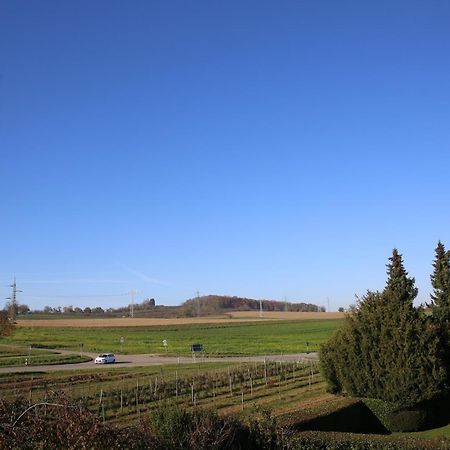 Hotel Garni Alte Post Schallbach Екстер'єр фото